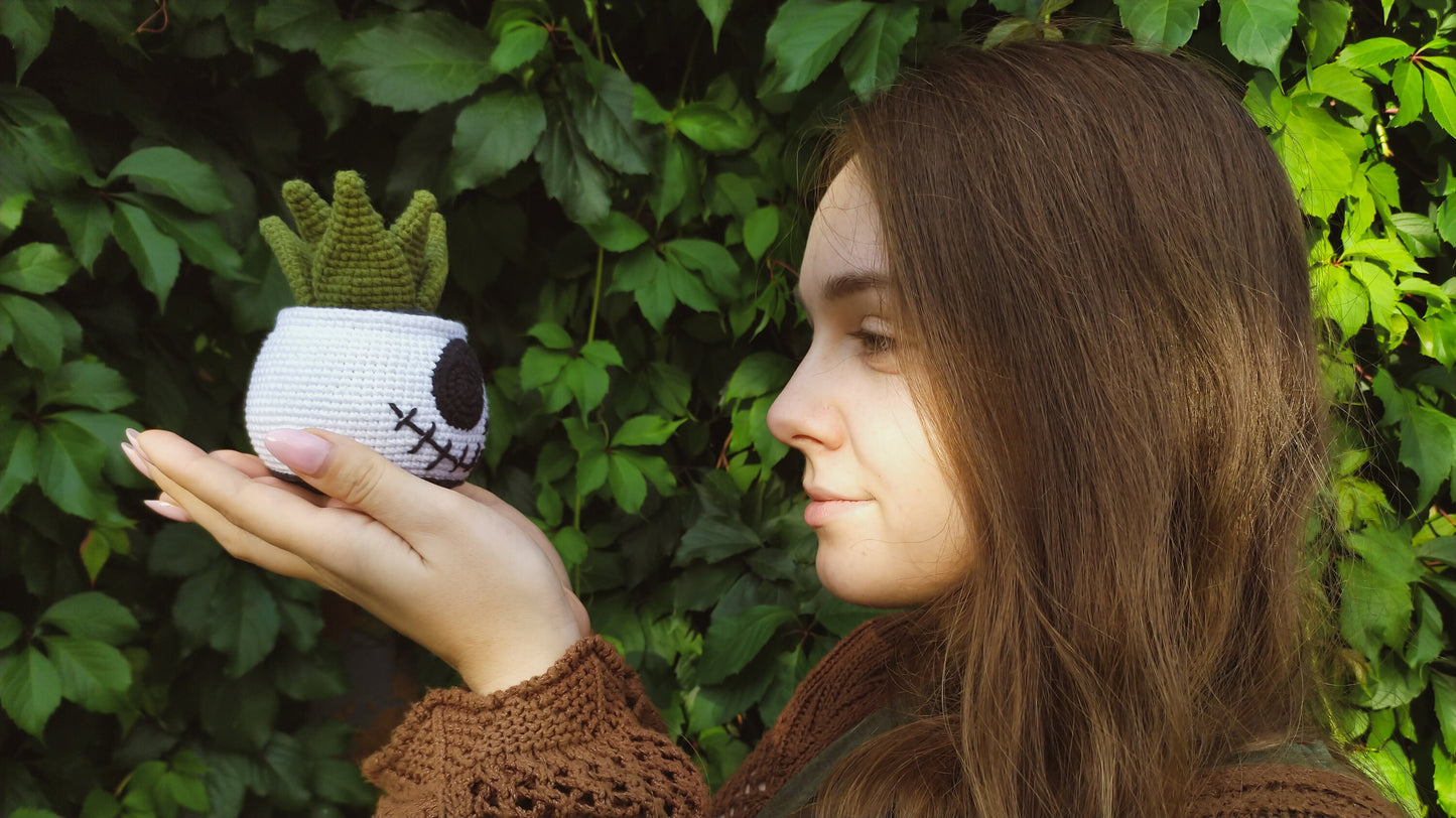 Jack Succulent Crochet Pattern