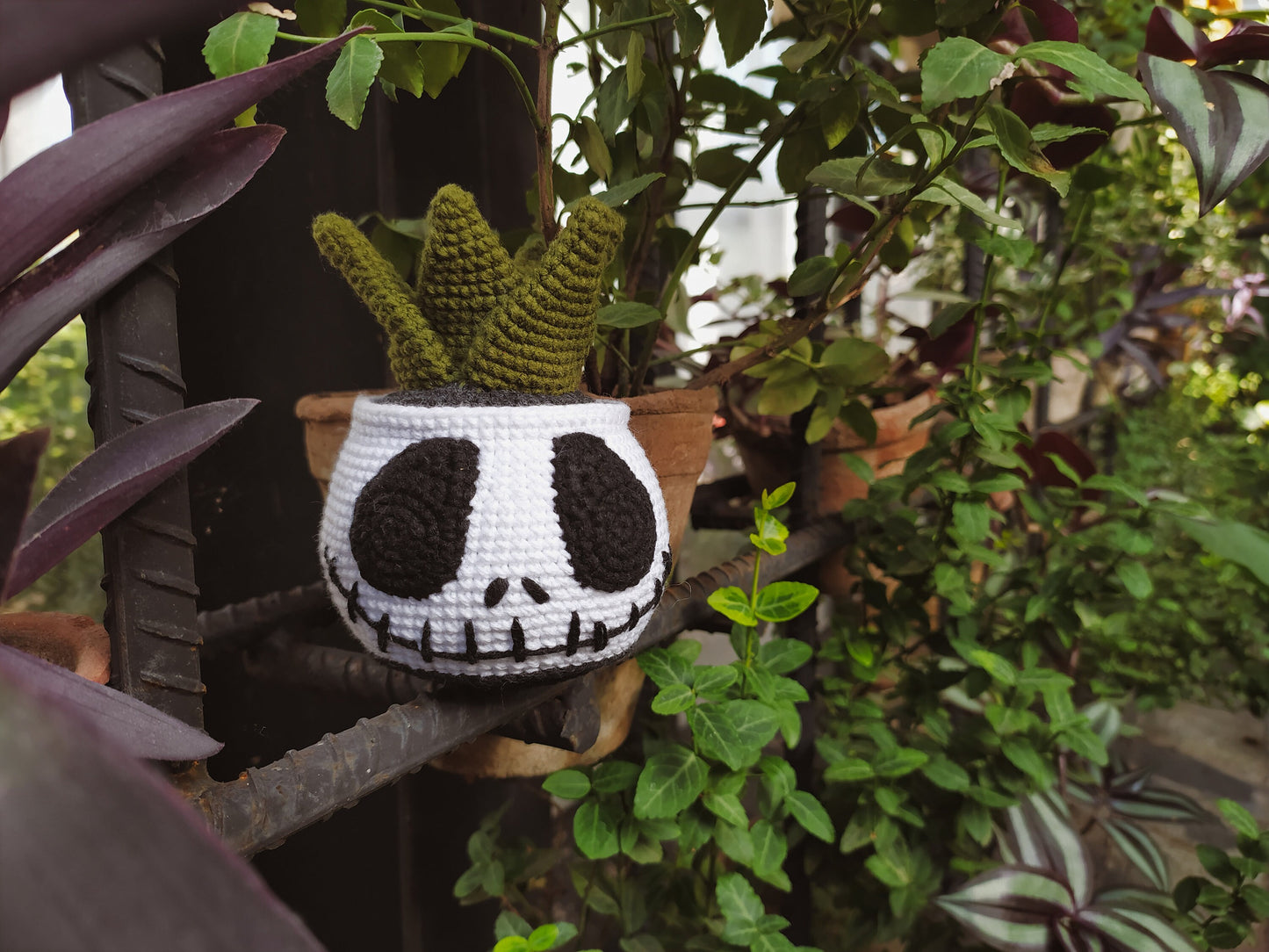 Jack Succulent Crochet Pattern