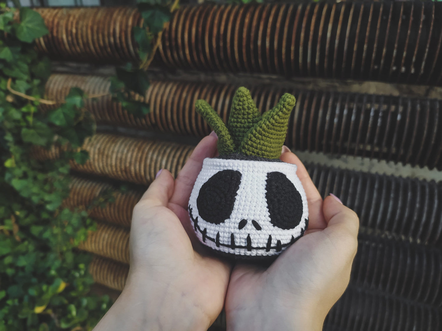 Jack Succulent Crochet Pattern