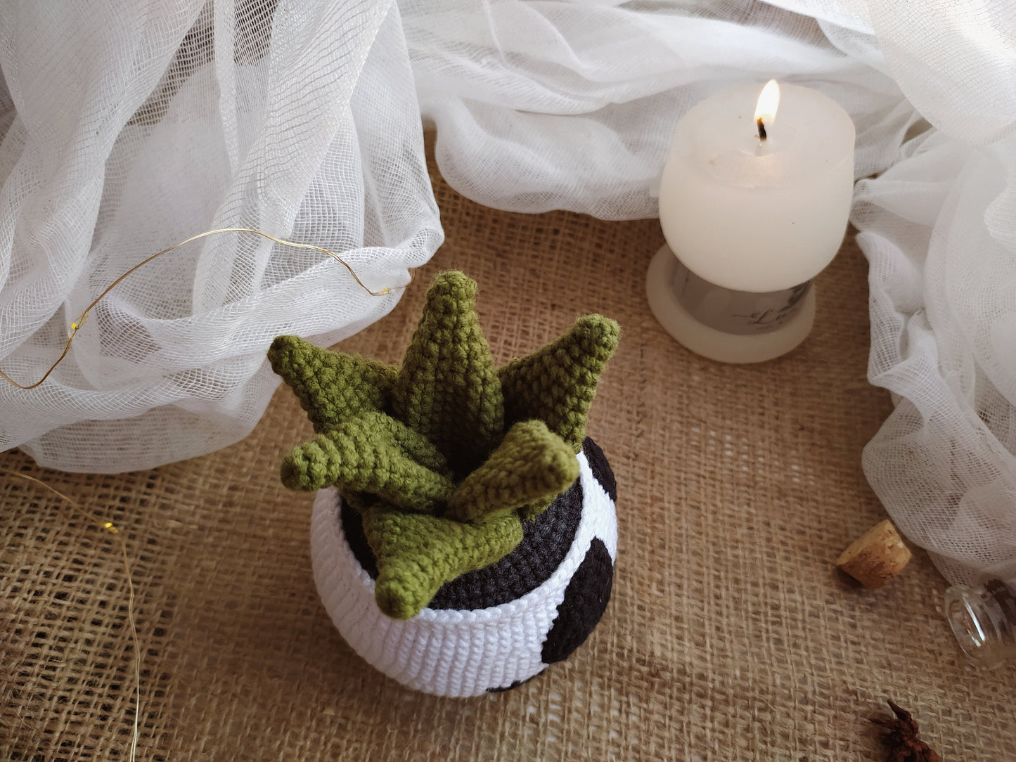 Jack Succulent Crochet Pattern