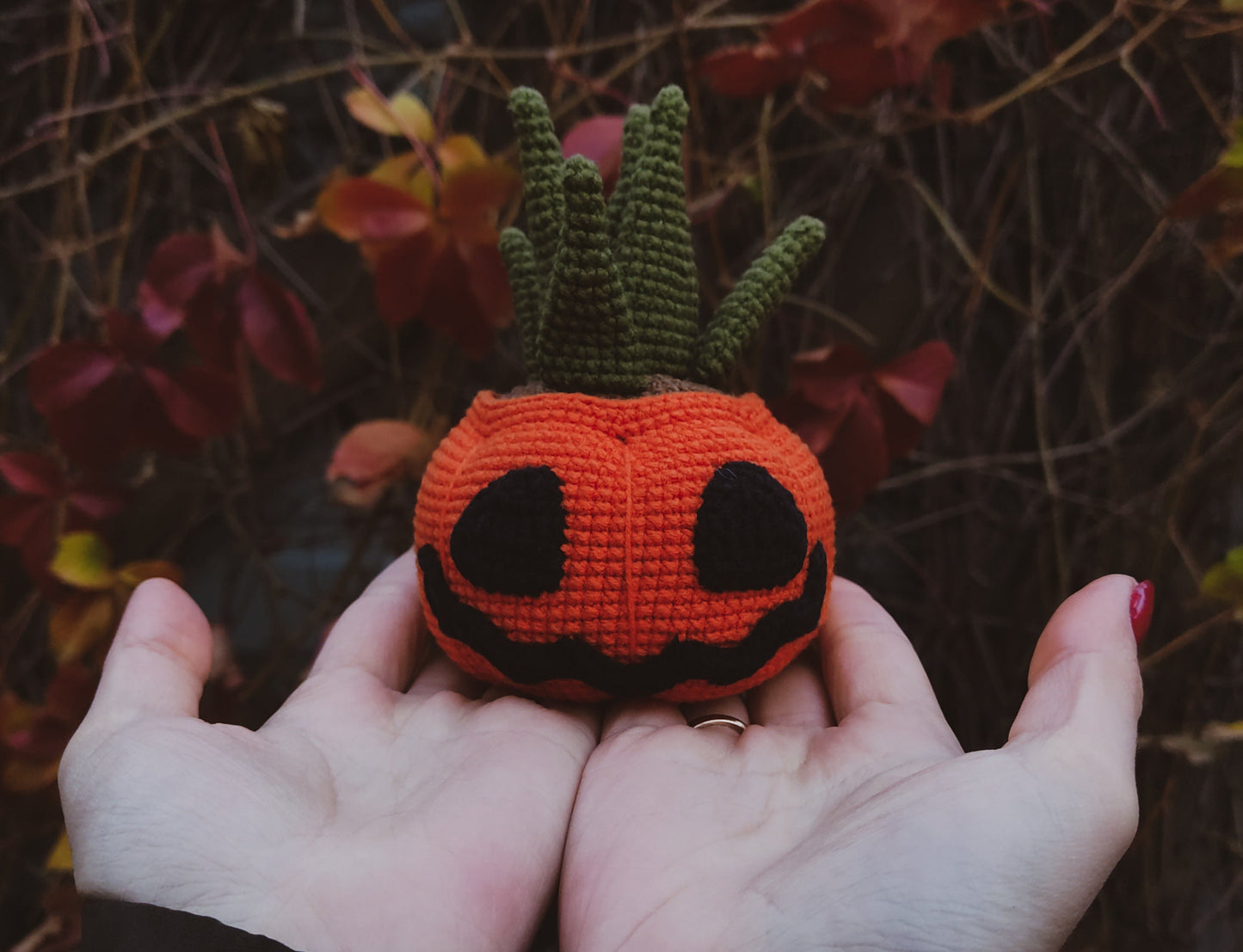 Pumpkin Succulent Plant Crochet Pattern