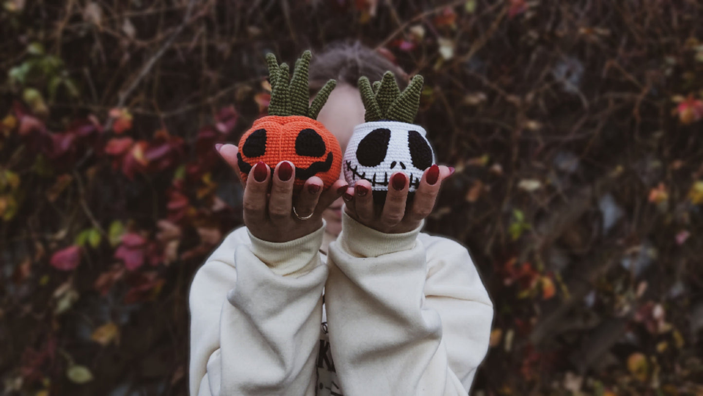Pumpkin Succulent Plant Crochet Pattern