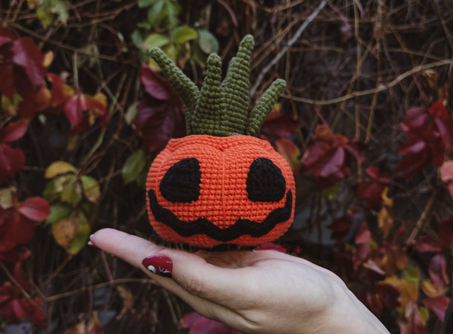 Pumpkin Succulent Plant Crochet Pattern