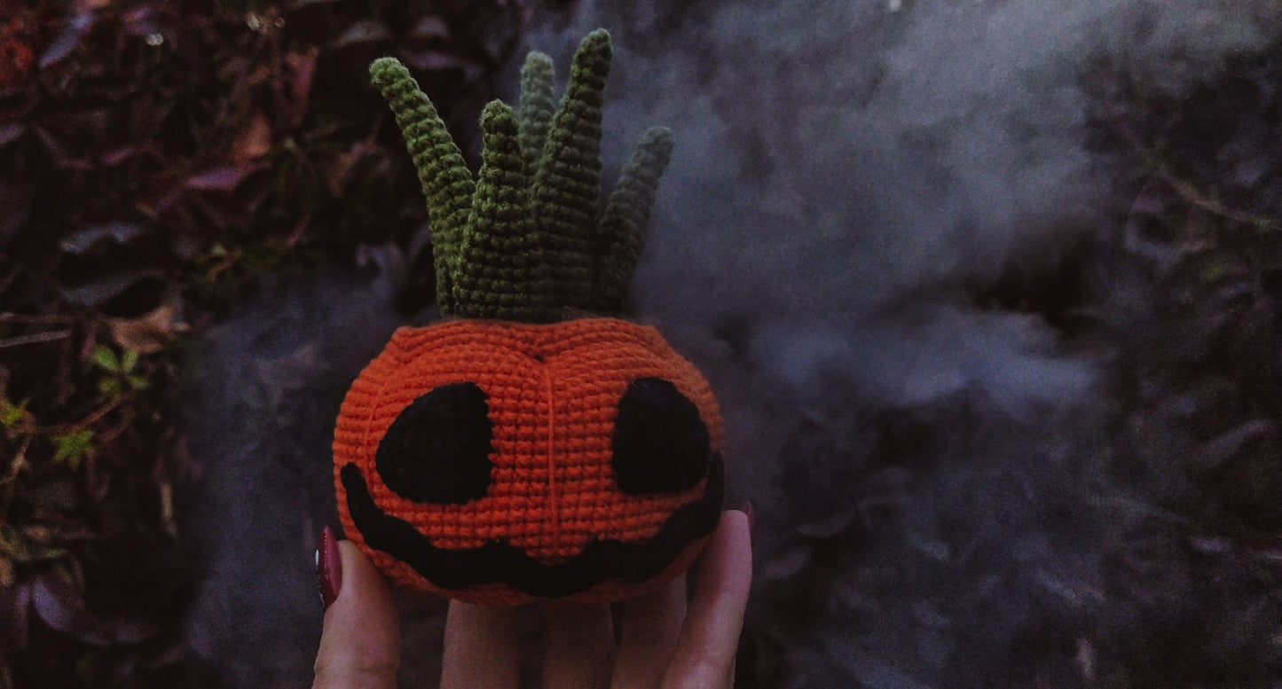 Pumpkin Succulent Plant Crochet Pattern