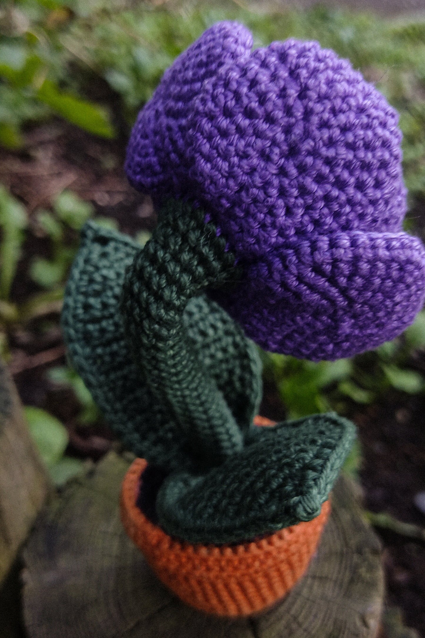 Eye Rose Pattern Crochet Flower