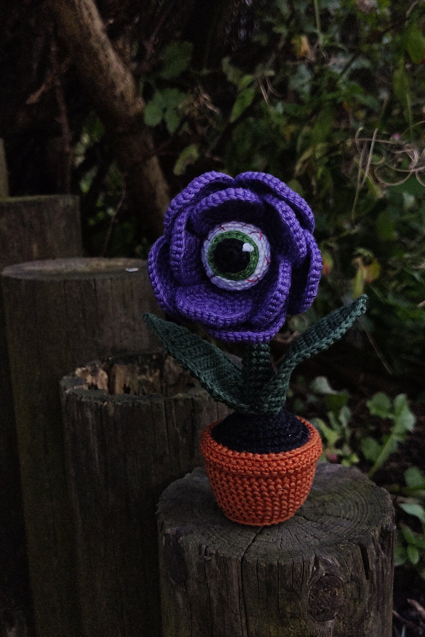 Eye Rose Pattern Crochet Flower