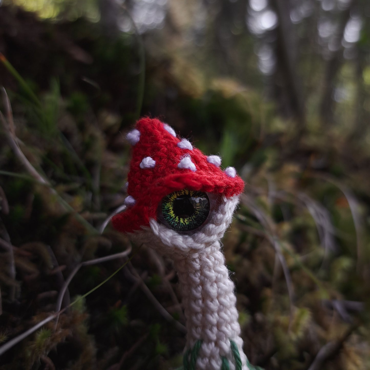 Mushroom in a pot Crochet Pattern