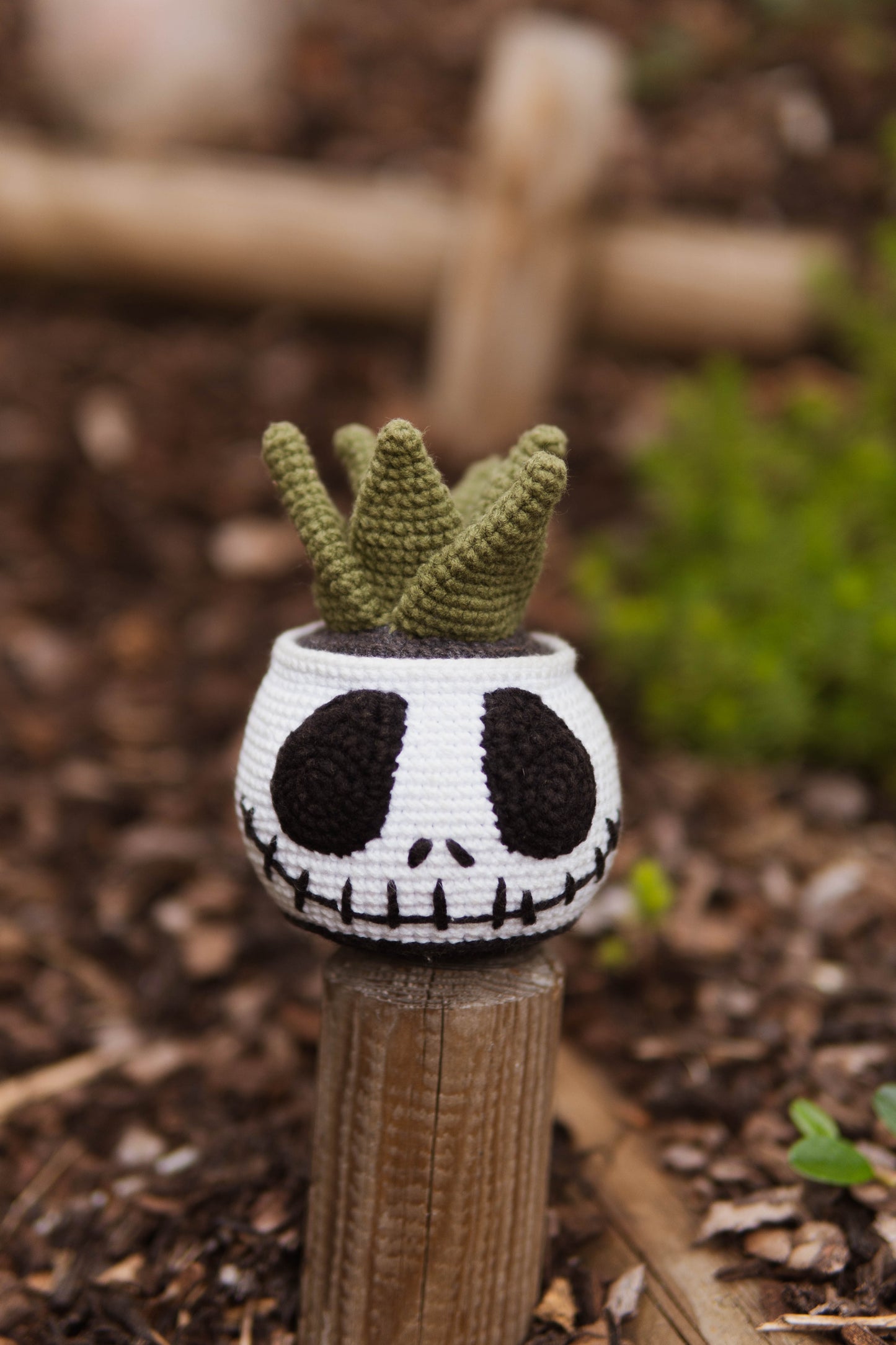 Jack Succulent Crochet Pattern