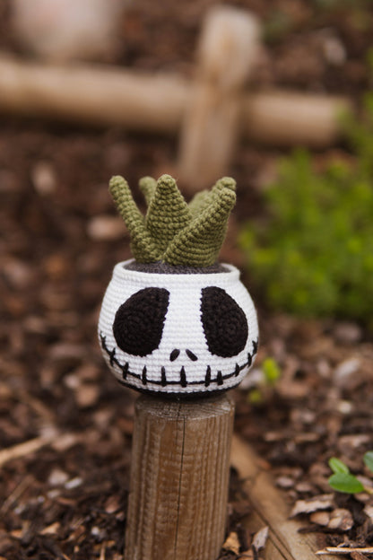 Jack Succulent Crochet Pattern