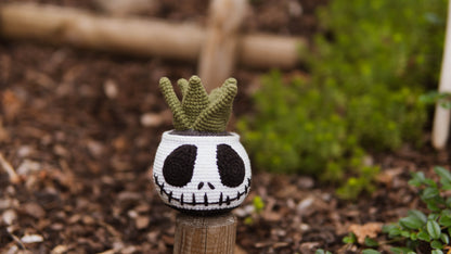 Jack Succulent Crochet Pattern
