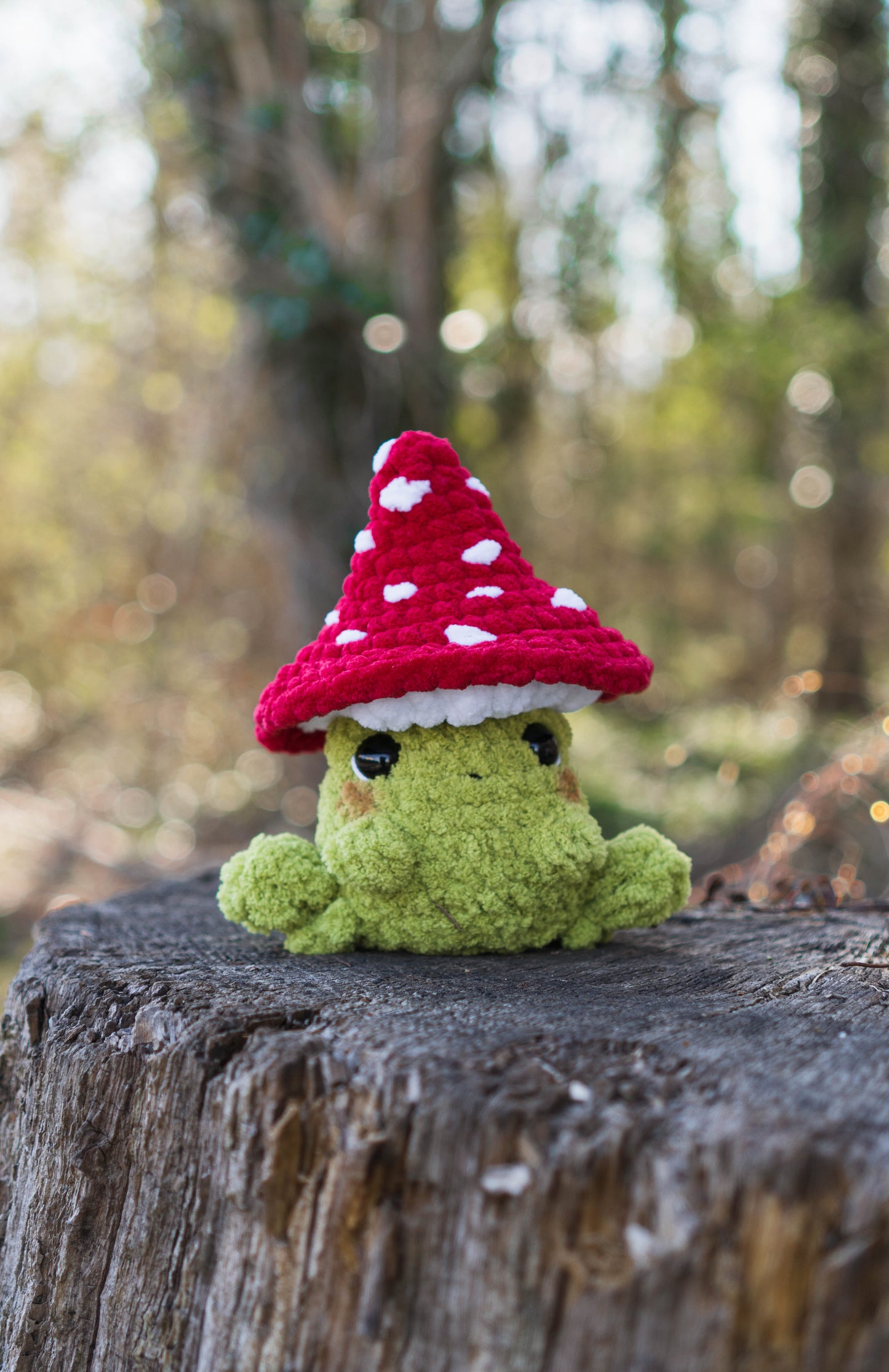 Enchanted Frogs 3 in 1 PDF Crochet Pattern