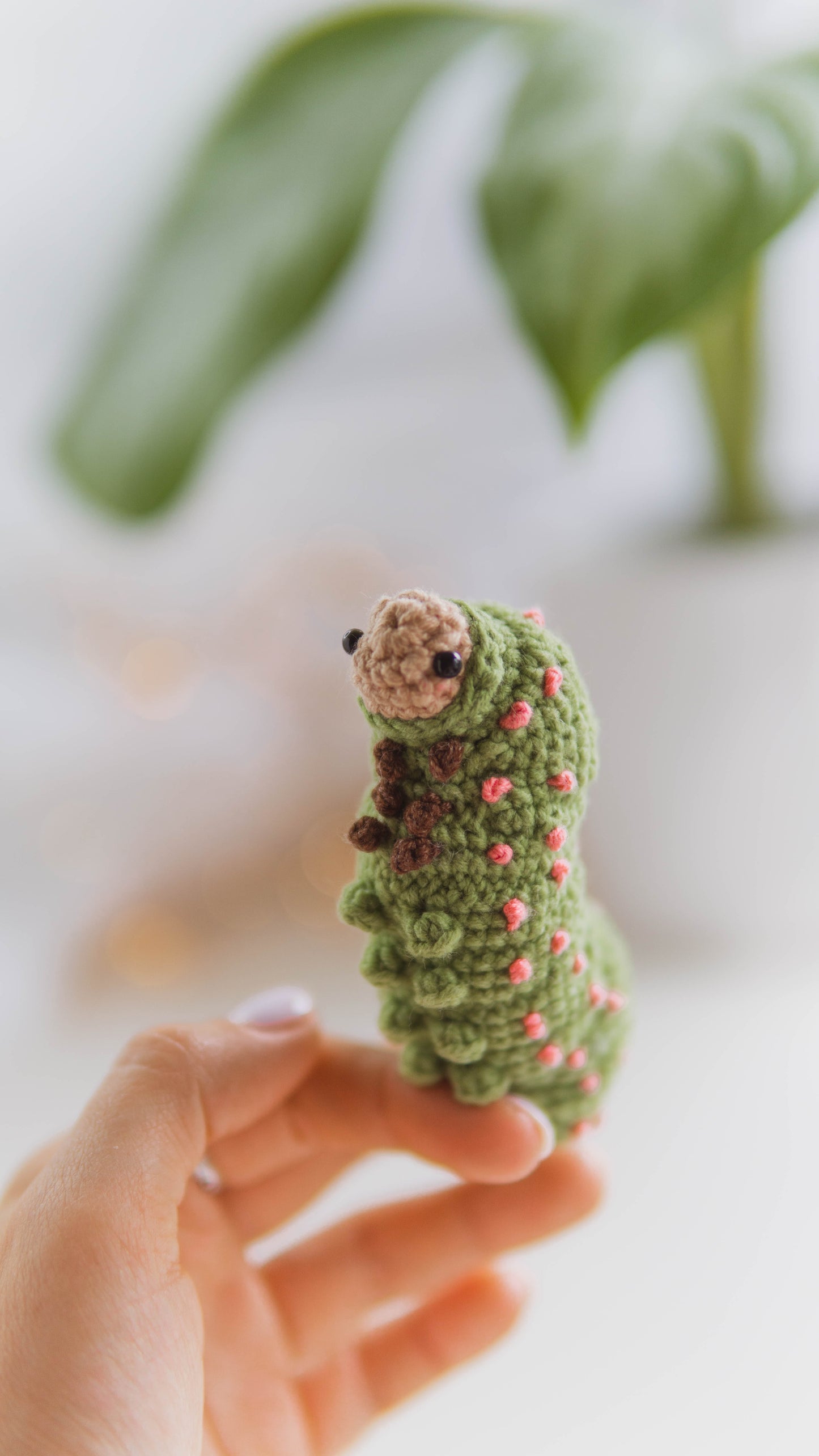 Luna the Luna Moth Caterpillar No-Sew PDF Crochet Pattern