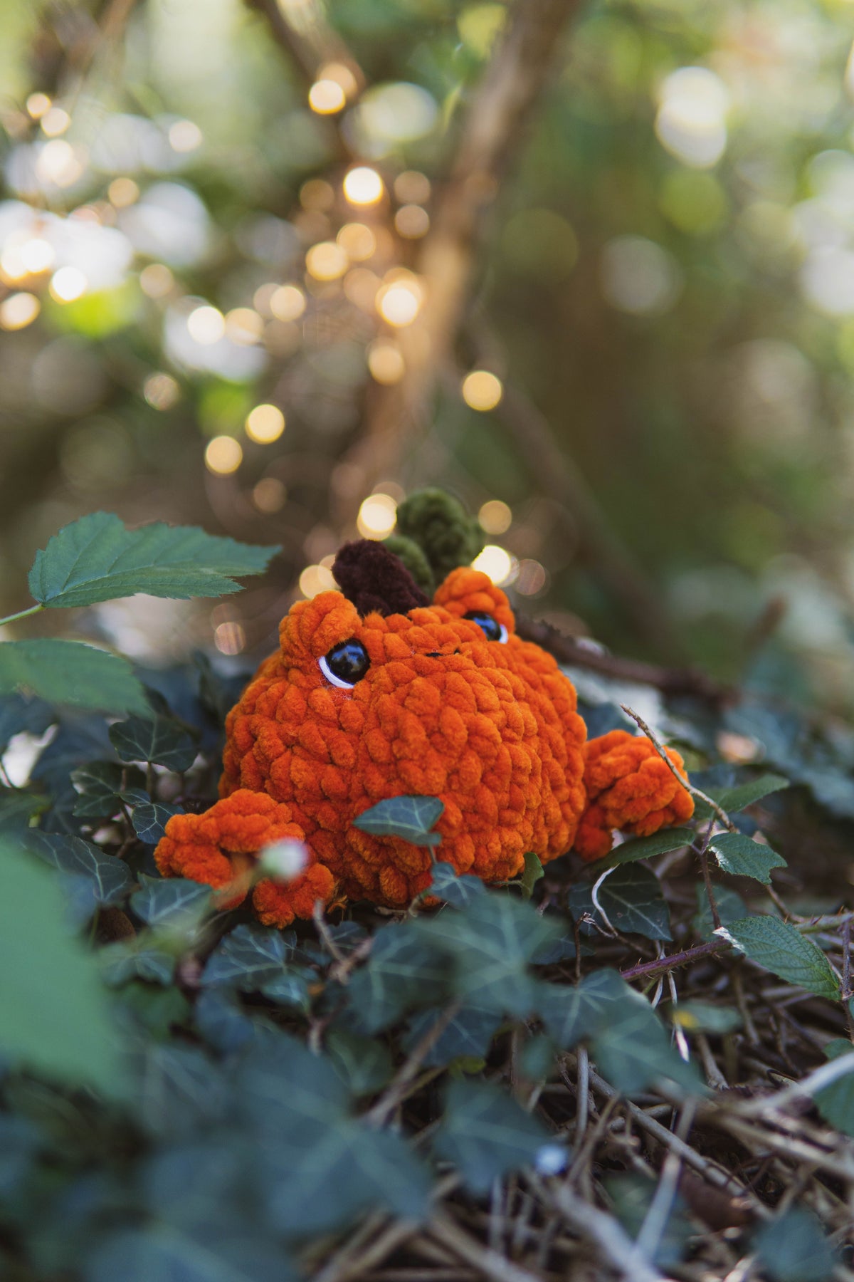 Spooky Frogs 4 in 1 No-Sew PDF Crochet Pattern