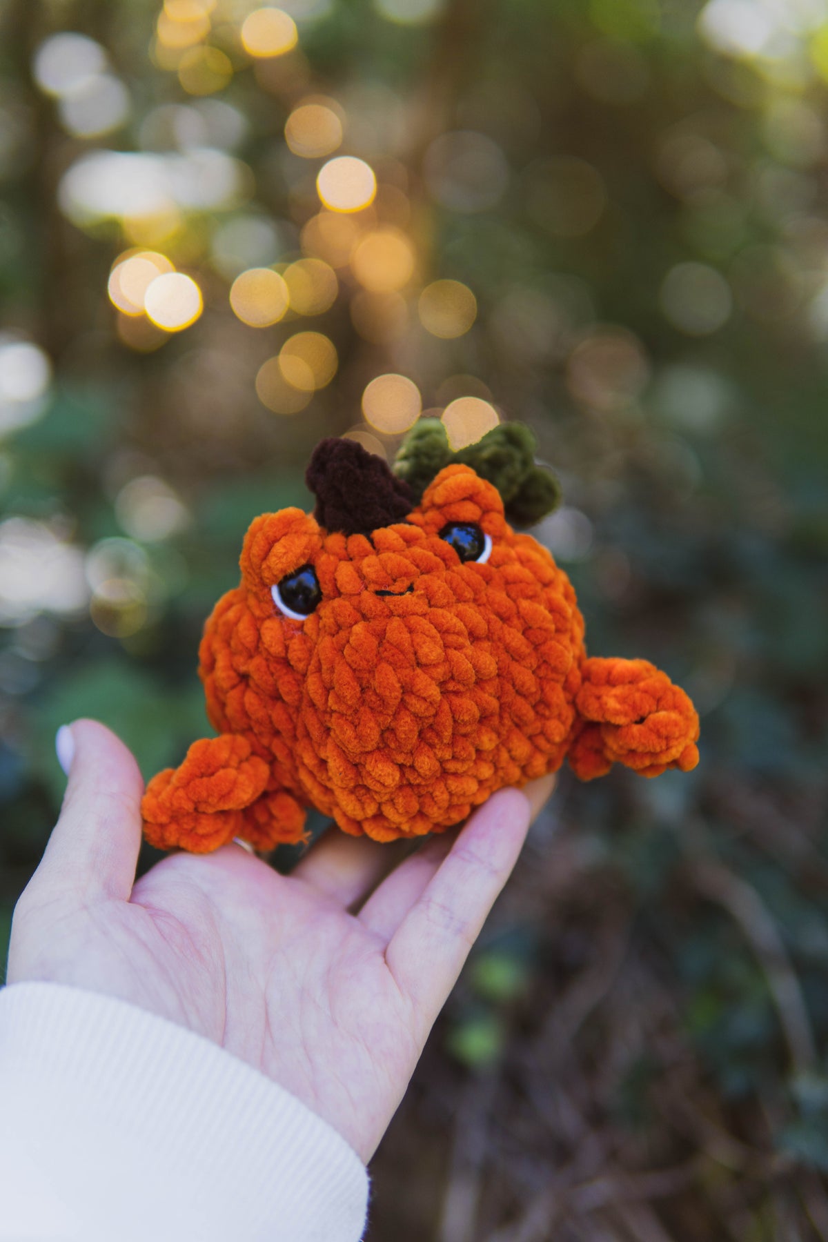 Spooky Frogs 4 in 1 No-Sew PDF Crochet Pattern