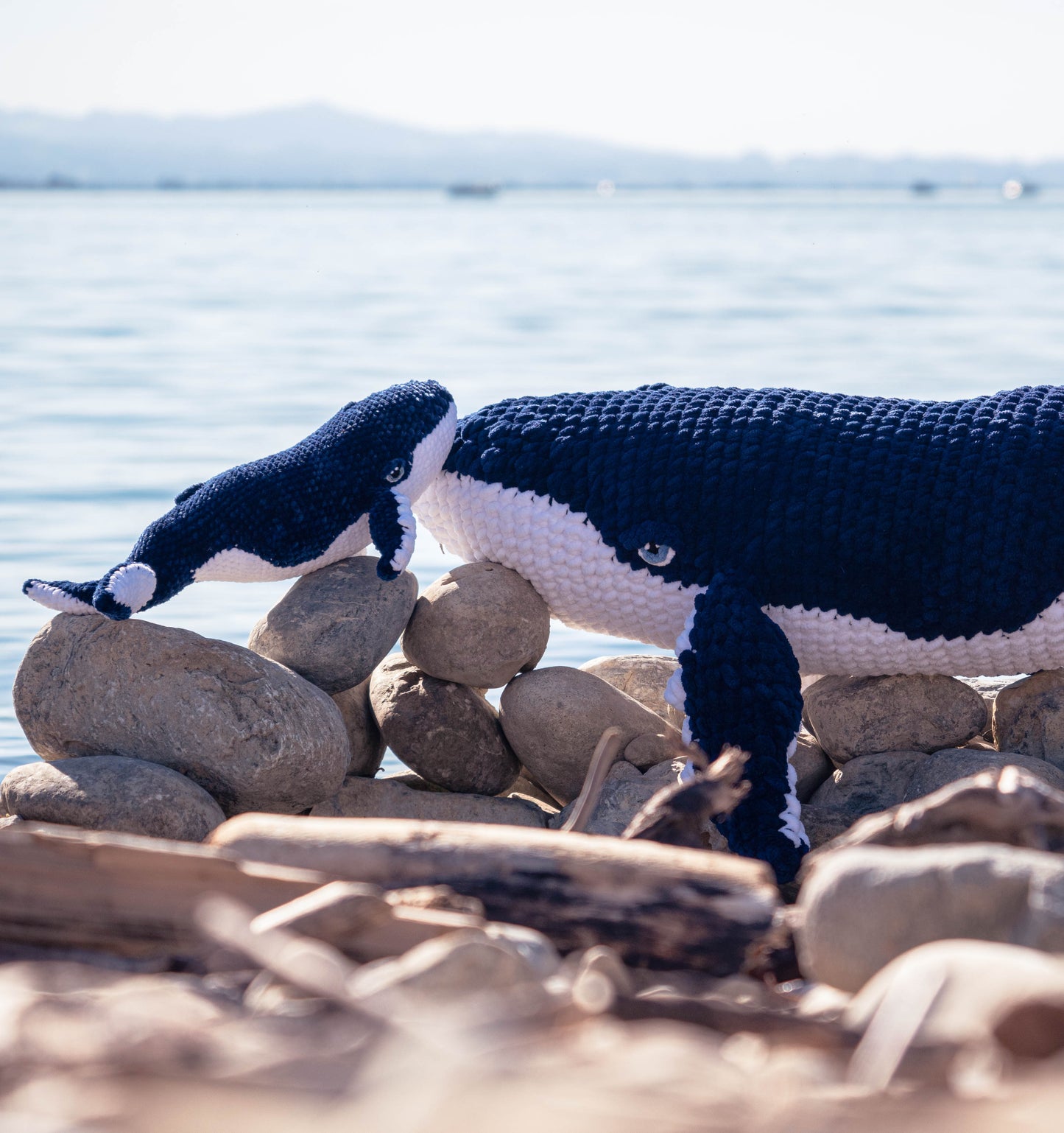 Norbert the Humpback Whale Low-sew PDF Crochet Pattern