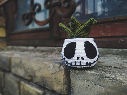 Jack Succulent Crochet Pattern