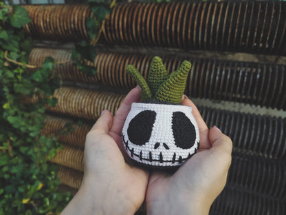 Jack Succulent Crochet Pattern