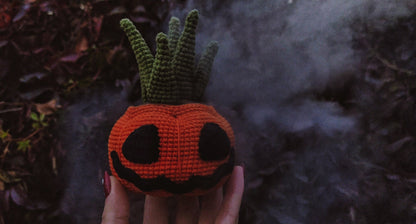 Pumpkin Succulent Plant Crochet Pattern