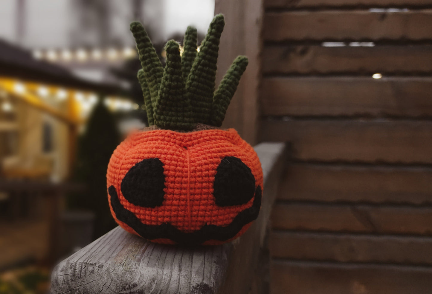 Pumpkin Succulent Plant Crochet Pattern