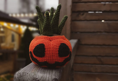 Pumpkin Succulent Plant Crochet Pattern
