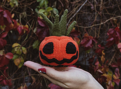 Halloween Succulents Crochet Pattern Set 2 in 1