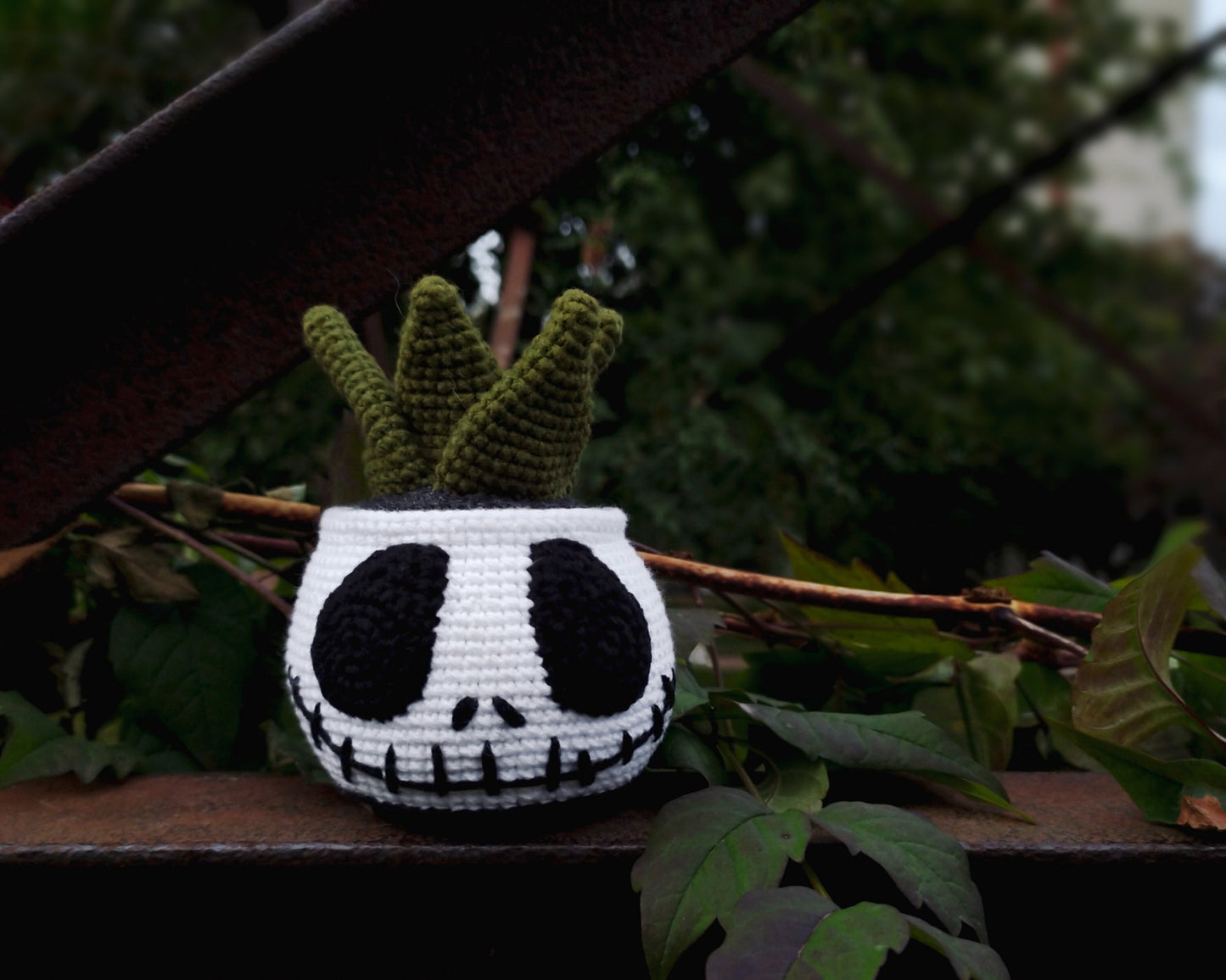 Jack and Sally Succulents Crochet Pattern Set 2 in 1