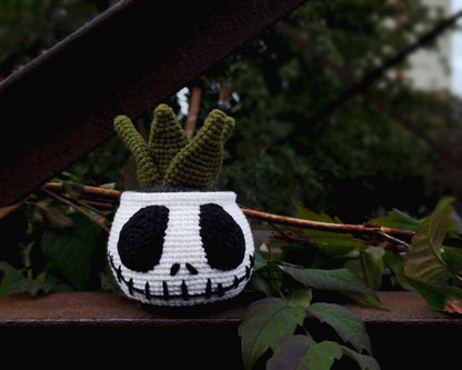 Halloween Succulents Crochet Pattern Set 2 in 1