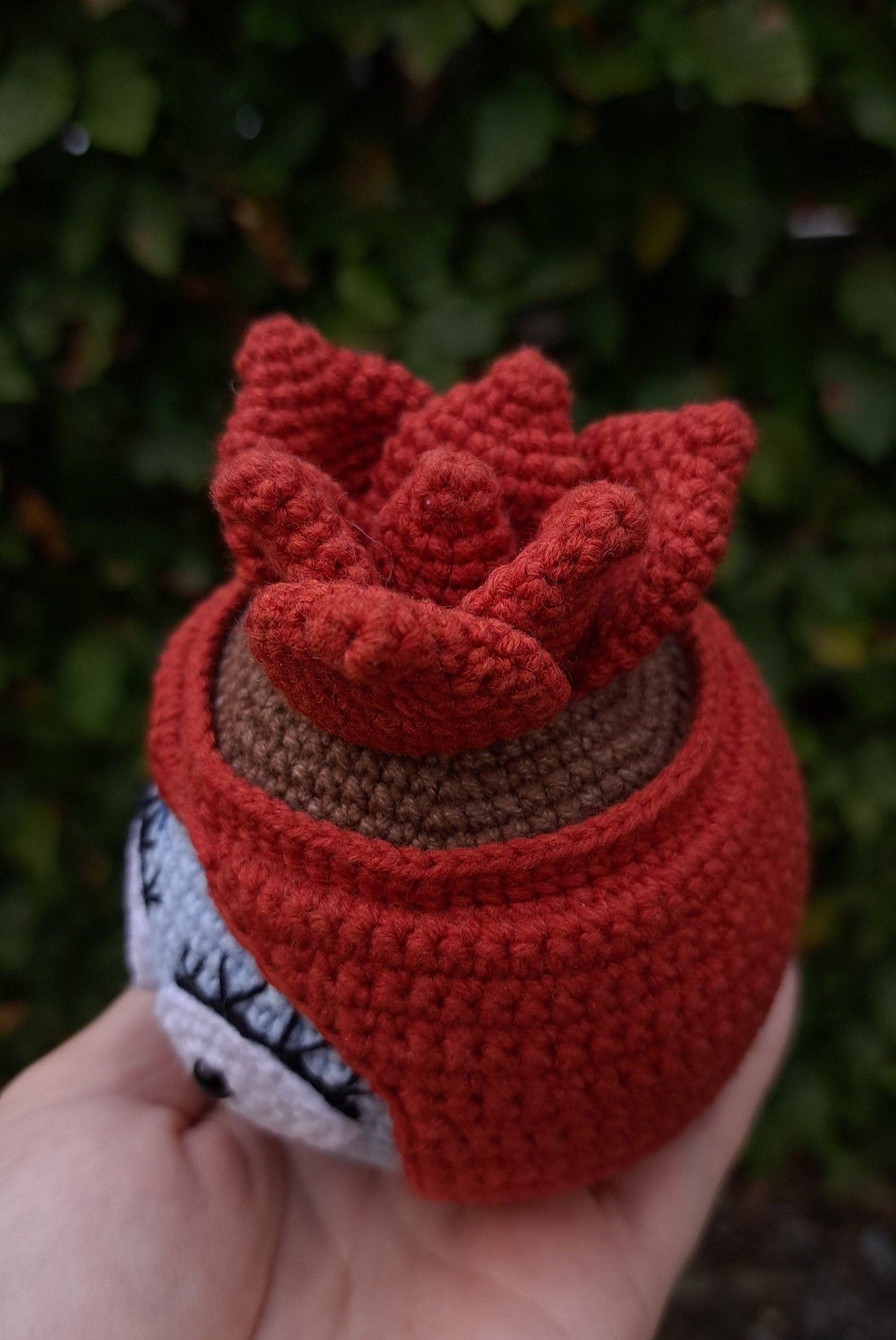 Sally Succulent Crochet Pattern