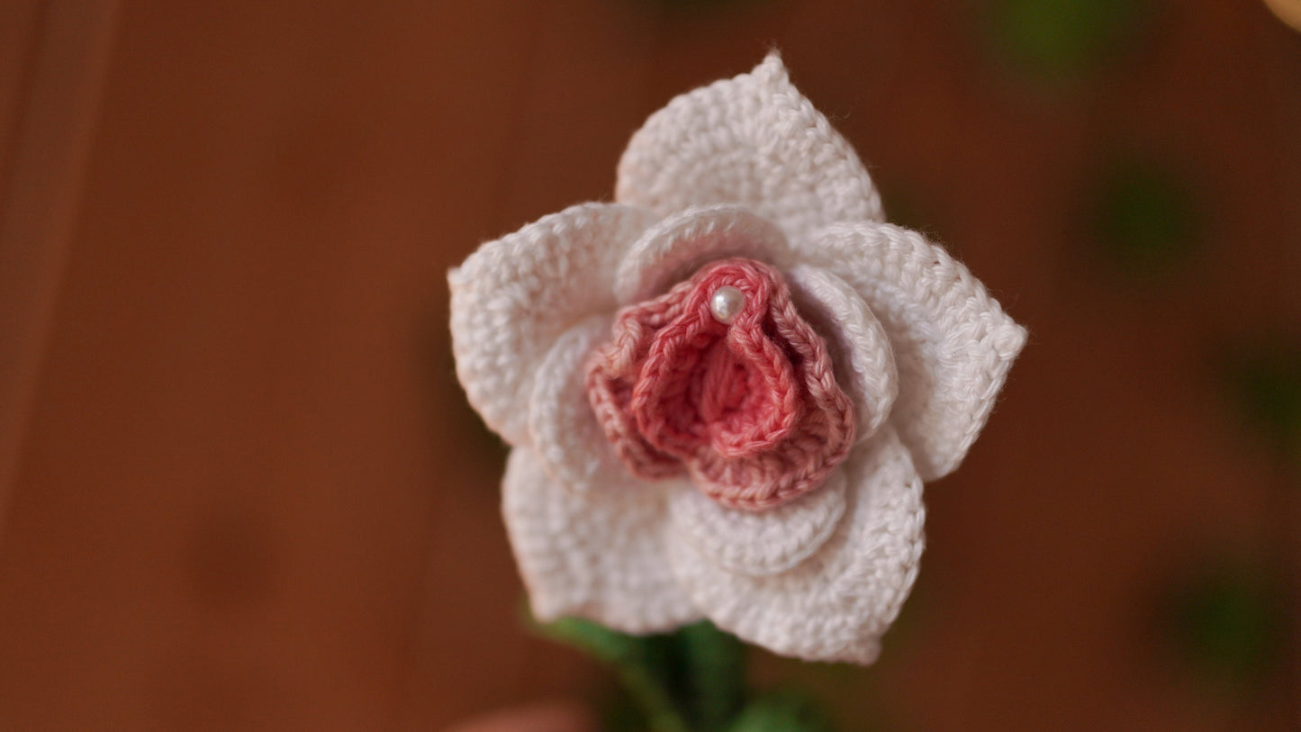Flower of Life, Labia rose in a pot Crochet Pattern=