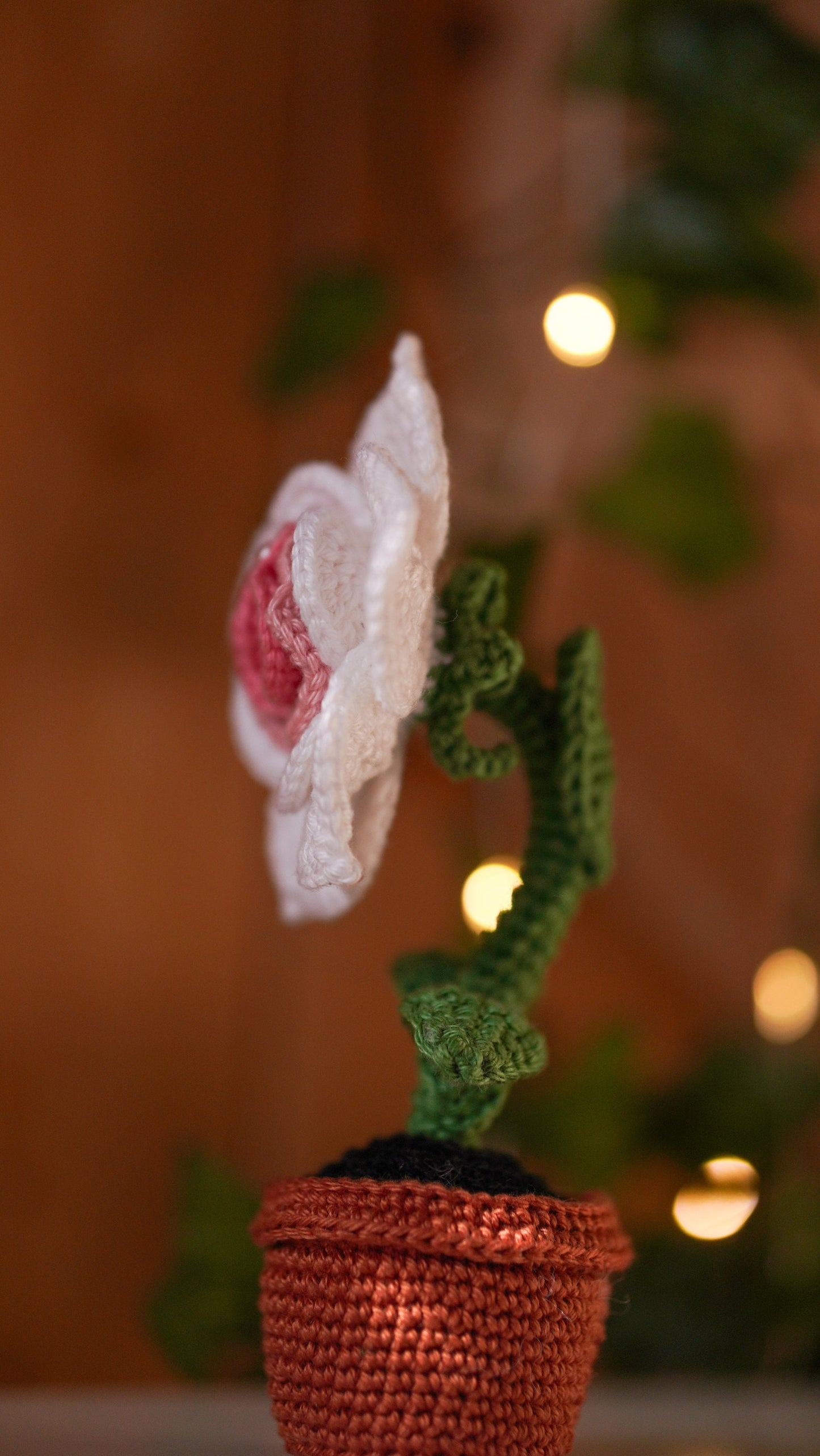 Flower of Life, Labia rose in a pot Crochet Pattern=